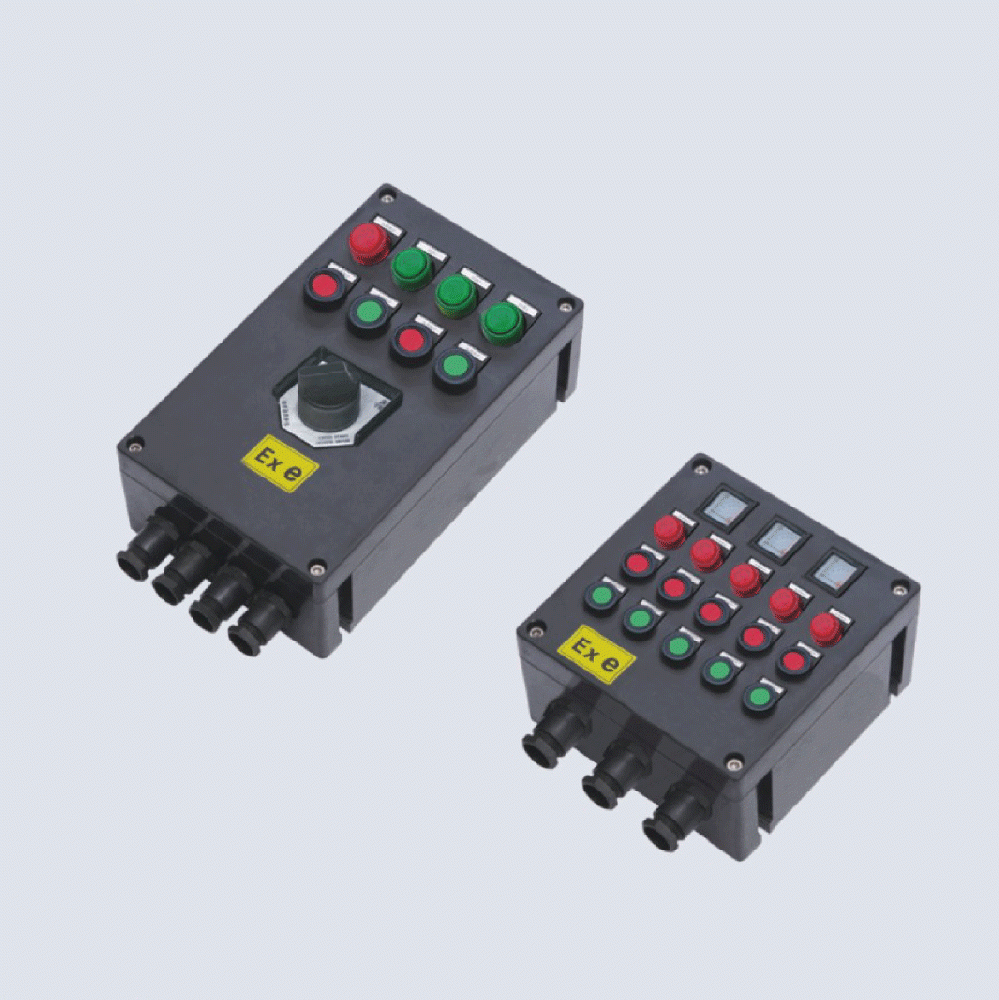BXK8050-系列防爆防腐控制箱(IIC、 ExtD)